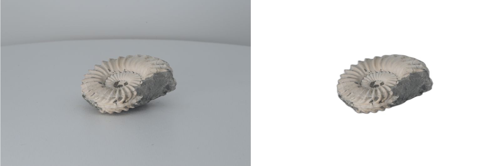 image with and without background