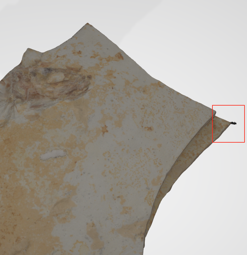 Model with artifact